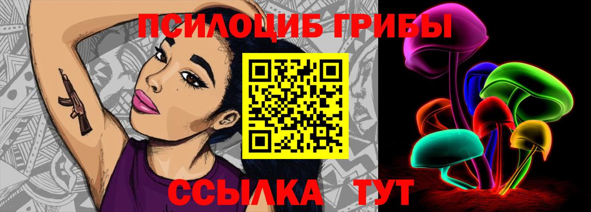 наркошоп  Псилоцибиновые грибы GOLDEN TEACHER  Вход с VPN  Волоколамск 